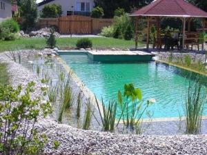 kerti tavak, medence