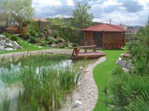 kerti tavak, medence