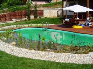 Kerti tó, tavak, medencék