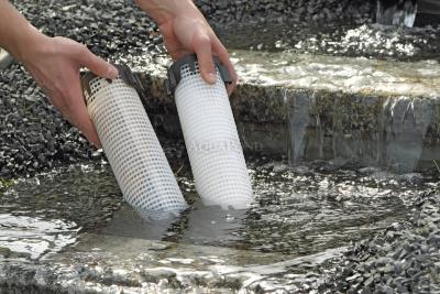 Oase AquaActiv PhosLess Protezione dalle alghe