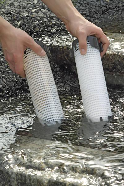 Oase AquaActiv PhosLess Protezione dalle alghe