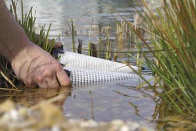 Oase AquaActiv PhosLess Protezione dalle alghe