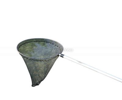 Oase Pesca pesce - piccola