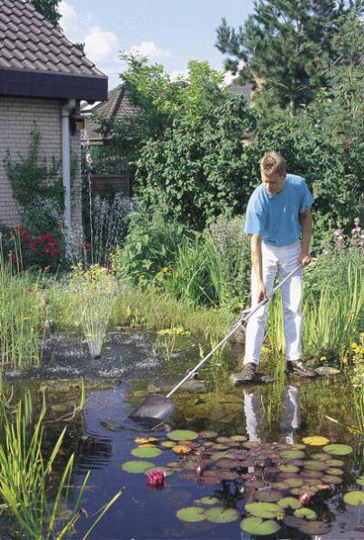 Oase Catturaciglia - grande