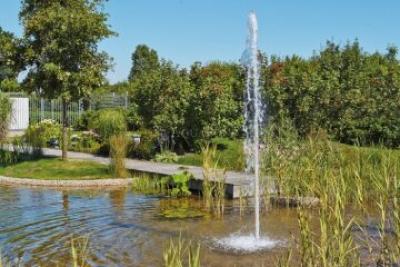 OASE Cluster Eco 15 - 38 linea di fontane 