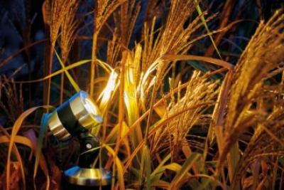 Oase LunAqua Maxi LED Solo - illuminazione per laghetto