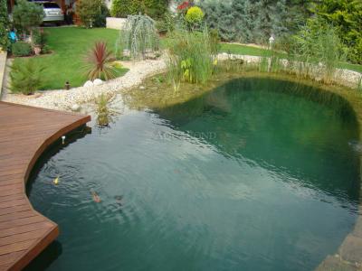 Pellicola per stagno 1,5 mm / 2 m di larghezza Fatra Aquaplast 805 verde oliva