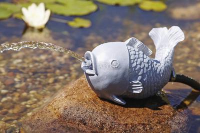 Oase Pesce - sputare acqua