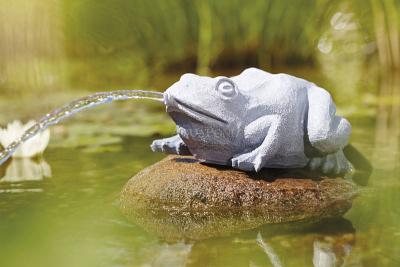 Oase Rana - zampilla acqua
