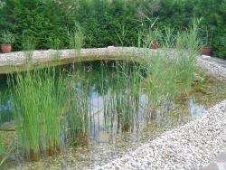 Oczka wodne i biobaseny firmy Aquapond.