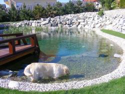 Oczka wodne i biobaseny firmy Aquapond.