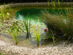 Oczka wodne i biobaseny firmy Aquapond.