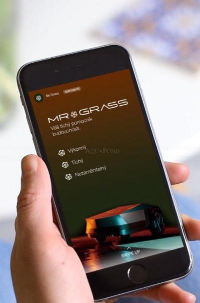 Aquark Mr.Grass