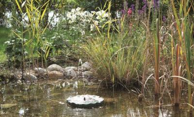 Pontec PondoSolar Lily Island Solárna fontánka