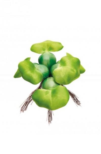 Pontec PondoHyacinth