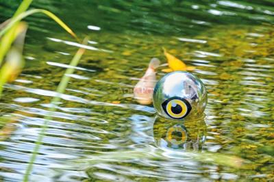 Pontec PondoScare Ball