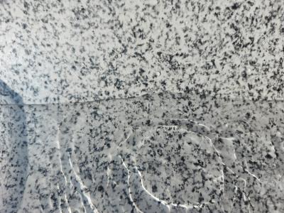 ELBE SBG Pearl - Silver Ice