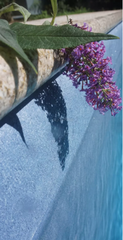 ELBE SBG Pure - Mountain Blue