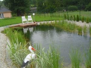 Kúpacie jazierka, bio jazierka