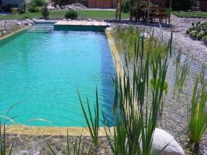 Bio jazierko, kúpacie jazierko