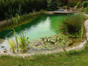 Záhradné jazierka, bazény
