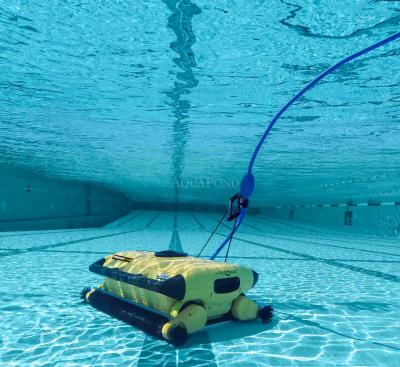 Maytronics Dolphin Wave 300 XL - bazenski sesalnik